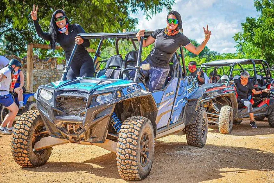 Polaris buggie