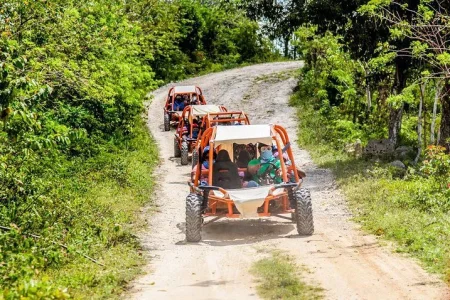 Shared Apex Buggies by Wolfiro