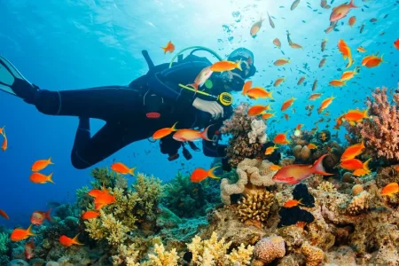 SCUBA DIVING – PUNTA CANA, DOMINICAN REPUBLIC